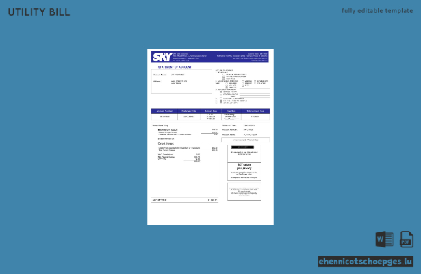 Beispielrechnung der Sky Cable Corporation auf den Philippinen (Vorschau)